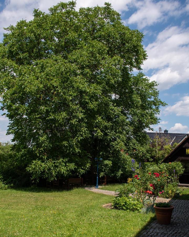 Ferienhaus Ostrauer Hof Бад Шандау Екстериор снимка